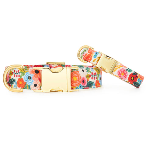 Garden Party Spring Dog Collar: S/ Gold