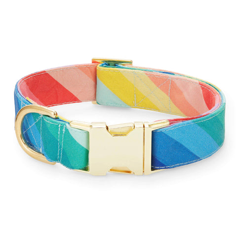 Over the Rainbow Dog Collar: X-Small