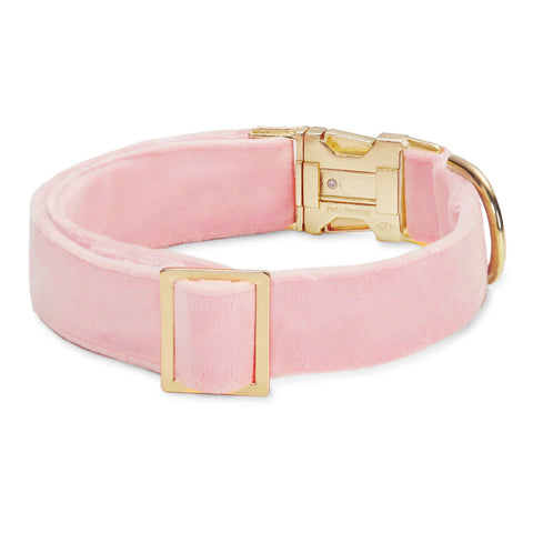 The Foggy Dog - Blush Pink Velvet Dog Collar: S / Gold