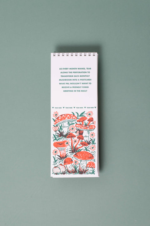 2027 Gnomes & Mushrooms Postcard Wall Calendar Phoebe Wahl