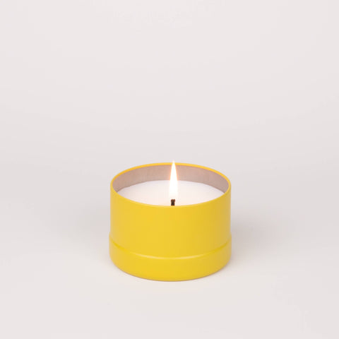 Pet Odor Neutralizing Candle: Mandarin & Lemon Balm