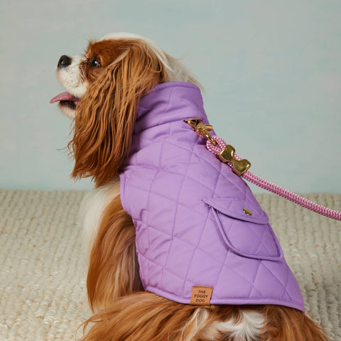 Mini Meadow Reversible Dog Jacket: Small