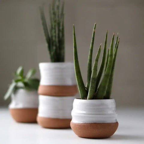 Assorted Small Planter Pots | Handmade Glazed Ceramic