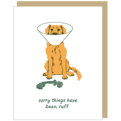 Dog With Cone Support / Get Well Card