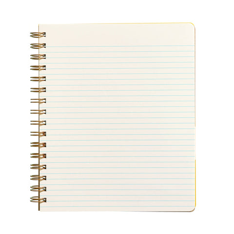 Colorful Fish Standard Notebook