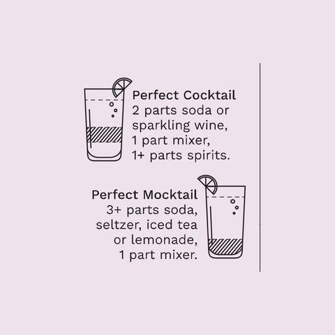 Bee's Knees Cocktail and Mocktail Mixer