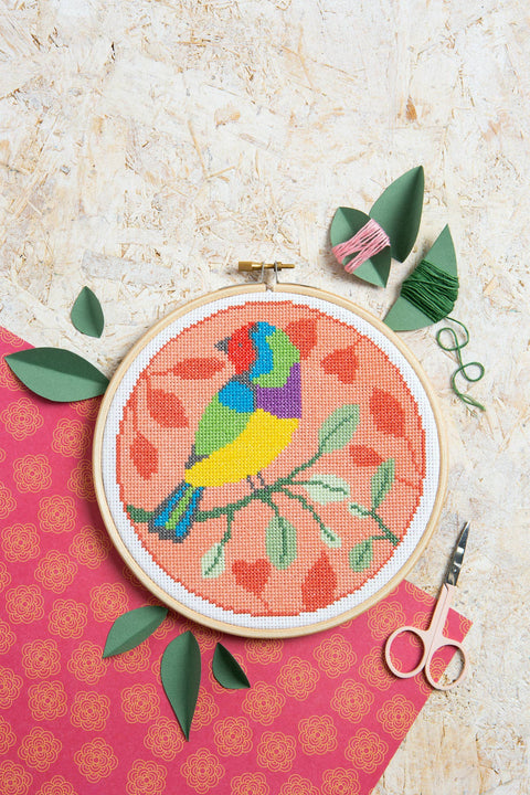 Rainbow Finch Cross Stitch Kit | Beginner Craft Kit