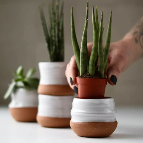 Assorted Small Planter Pots | Handmade Glazed Ceramic