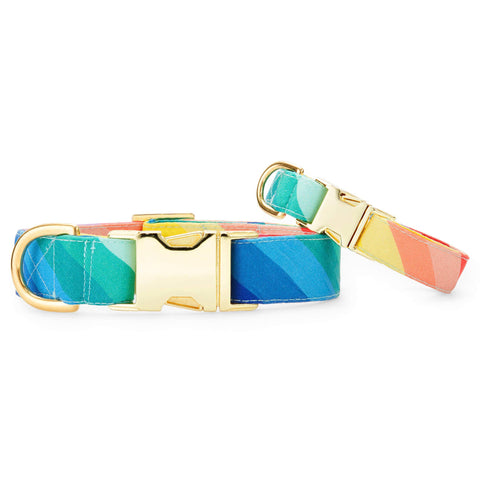 Over the Rainbow Dog Collar: Medium