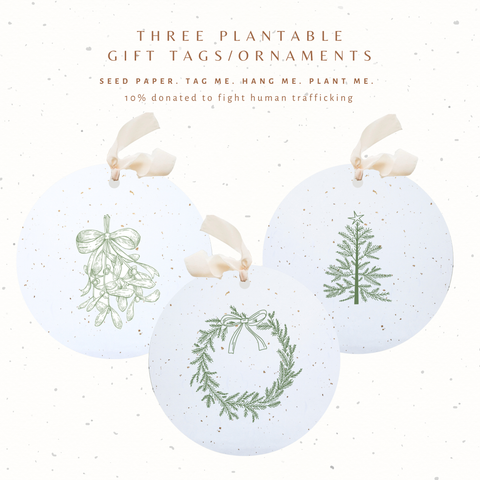 3 Greenery Ornaments / Plantable Seed Gift Tags