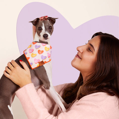 Candy Hearts Valentine's Day Dog Bandana: Small