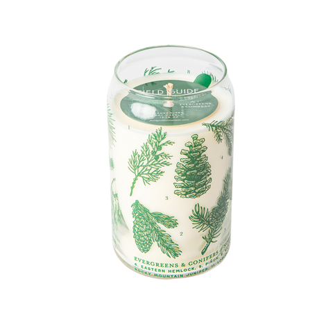 Evergreens & Conifers Soy Candle