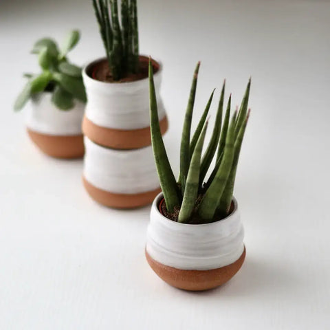 Assorted Small Planter Pots | Handmade Glazed Ceramic