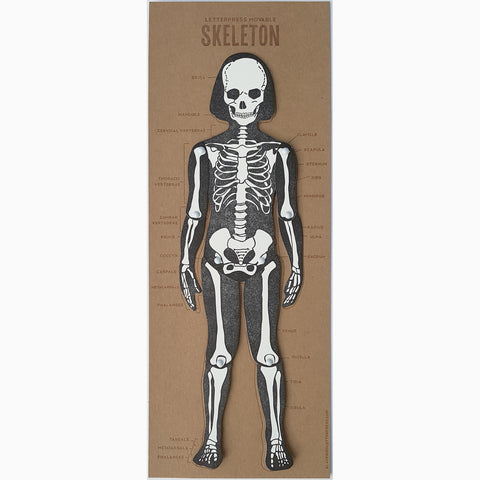 Skeleton Articulated Letterpress Figure