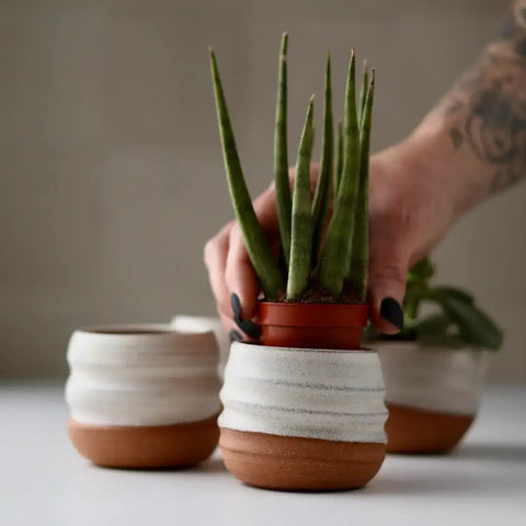 glazed planter pots Assorted Small Planter Pots