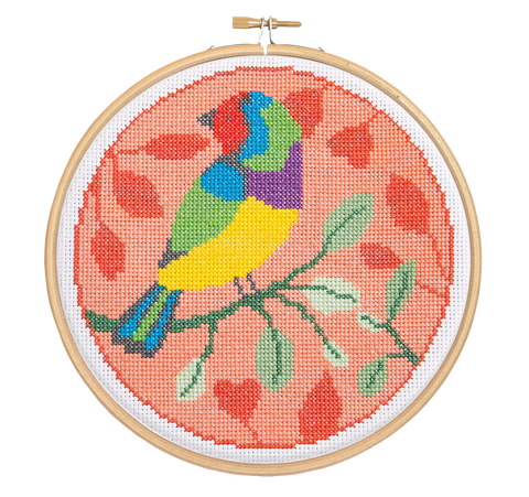 Rainbow Finch Cross Stitch Kit | Beginner Craft Kit
