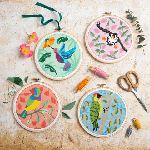 Rainbow Finch Cross Stitch Kit | Beginner Craft Kit