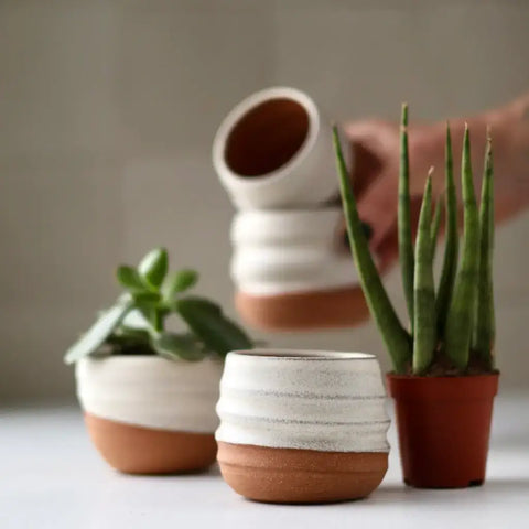 Assorted Small Planter Pots | Handmade Glazed Ceramic