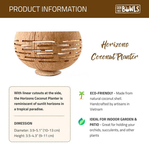 Horizons Coconut Planter