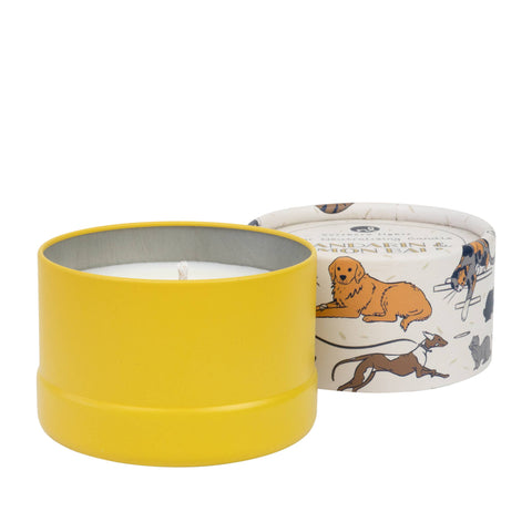 Pet Odor Neutralizing Candle: Lavender & Honey