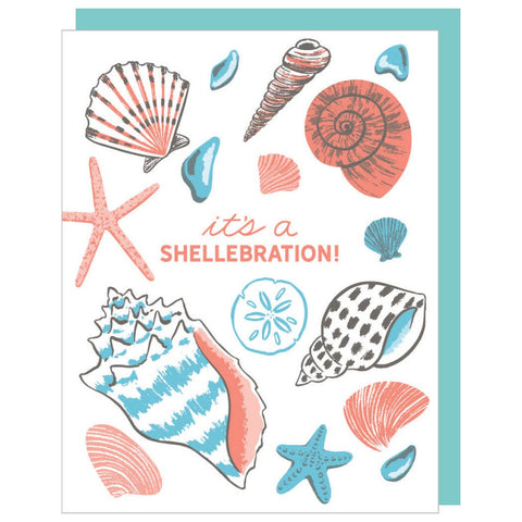 Shells Greeting Card