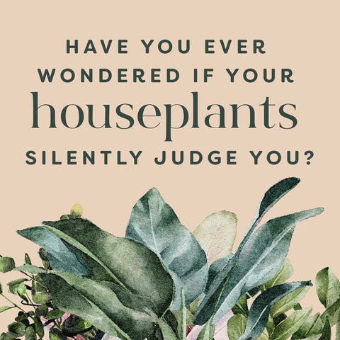 Houseplants and Their Fucked-Up Thoughts