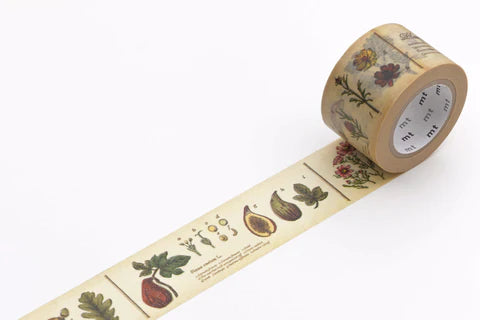 30mm Encyclopedia Plant mt tape