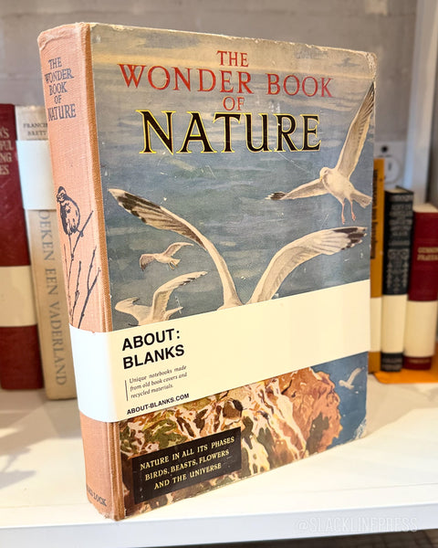 Vintage Book Journals
