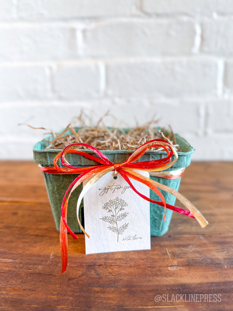 Pulp Berry Basket Small