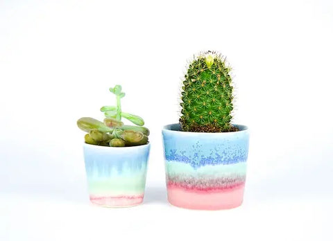 Plant Pot Blue/Pink