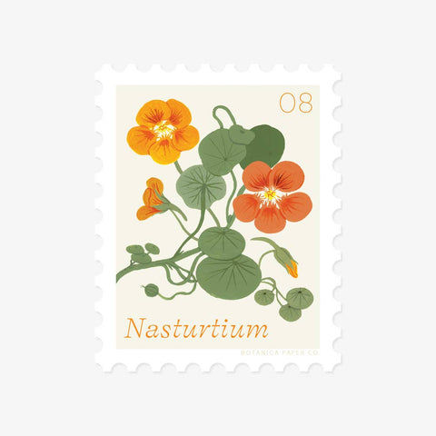 NASTURTIUM, AUGUST FLOWER | STAMP-STYLE VINYL STICKER