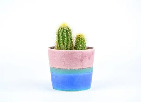 Plant Pot Pink/Blue