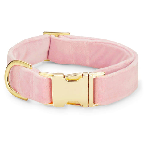 The Foggy Dog - Blush Pink Velvet Dog Collar: S / Gold